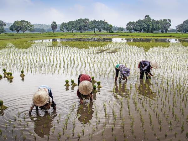 Vietnam by train and boat tour 