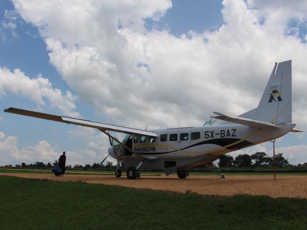 Uganda ultimate primate safari
