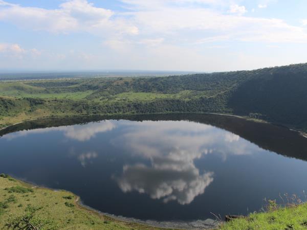 Uganda ultimate primate safari