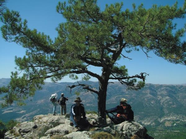 Self guided walking holiday in Andalucia, Spain