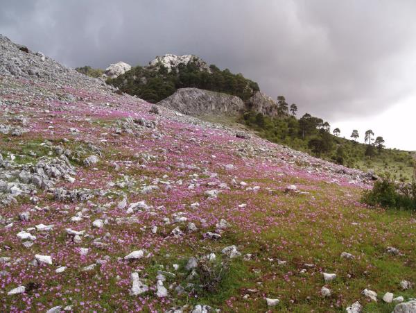 Self guided walking holiday in Andalucia, Spain