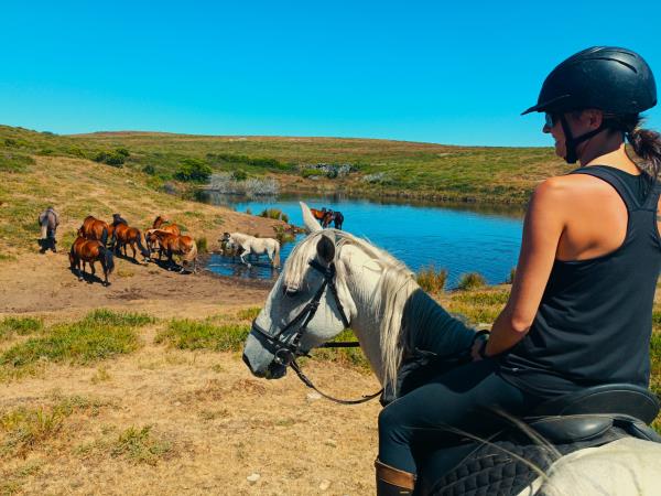 North Portugal horse riding holiday