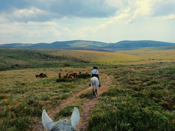 North Portugal horse riding holiday