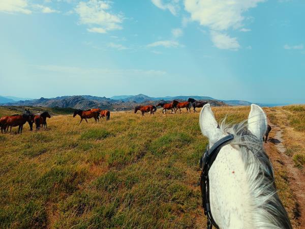 North Portugal horse riding holiday