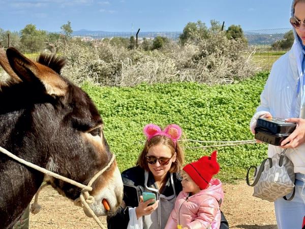 Cyprus family holiday, tailor made