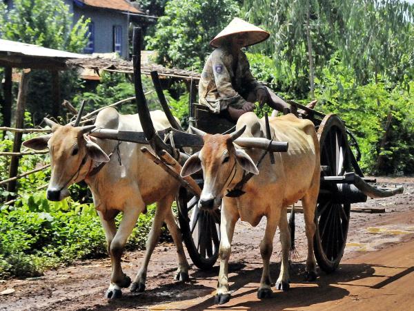 Thailand, Laos and Cambodia holiday