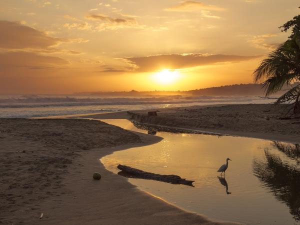 Costa Rica escorted tour 