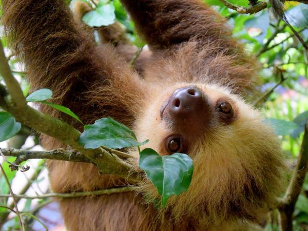 Costa Rica escorted tour 