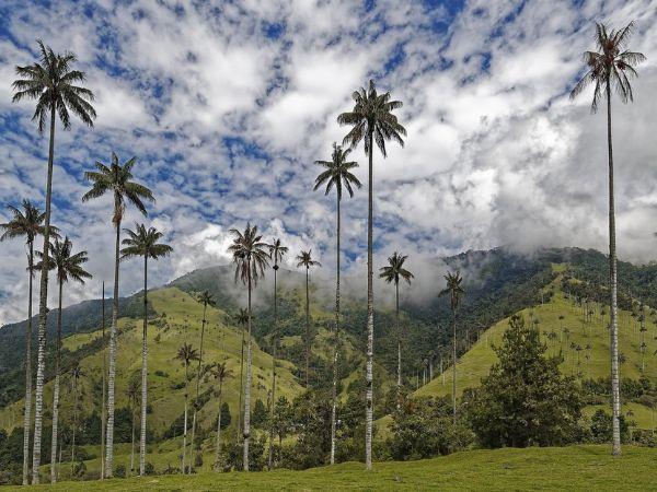 Colombia tailor made holiday