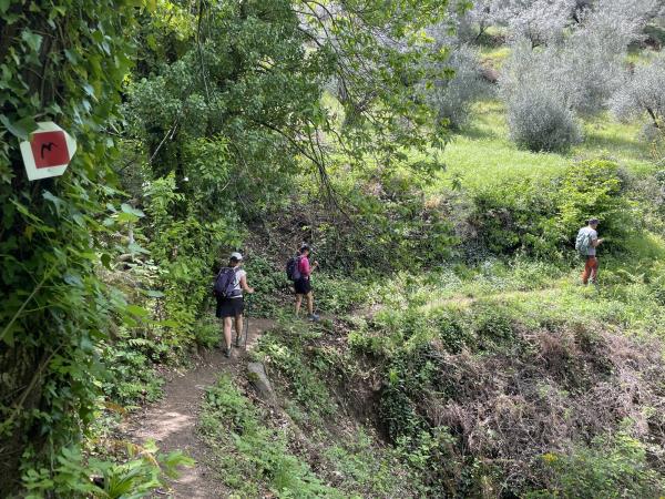 Mainalon Trail guided walking holiday in Greece