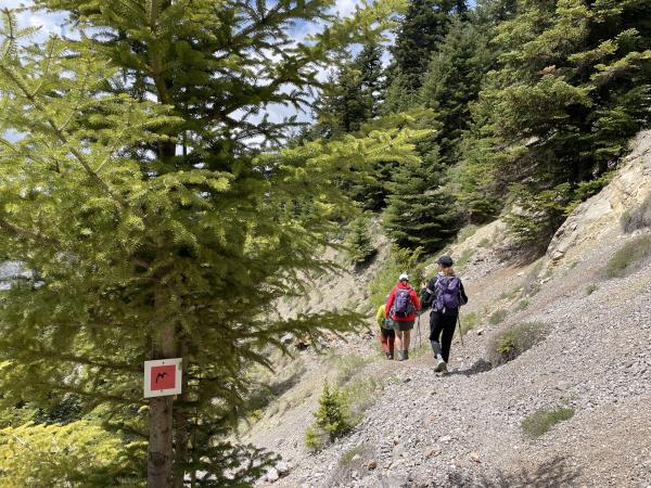 Mainalon Trail guided walking holiday in Greece
