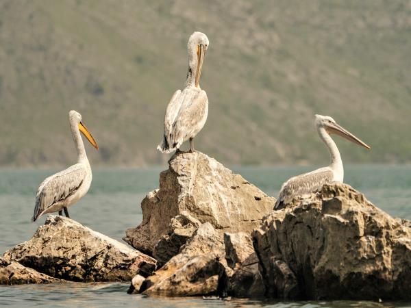 Montenegro to Albania kayak holiday