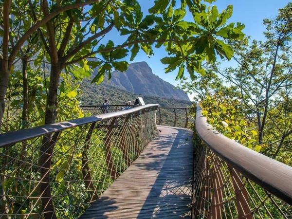 Cape Town and wine region highlights, South Africa