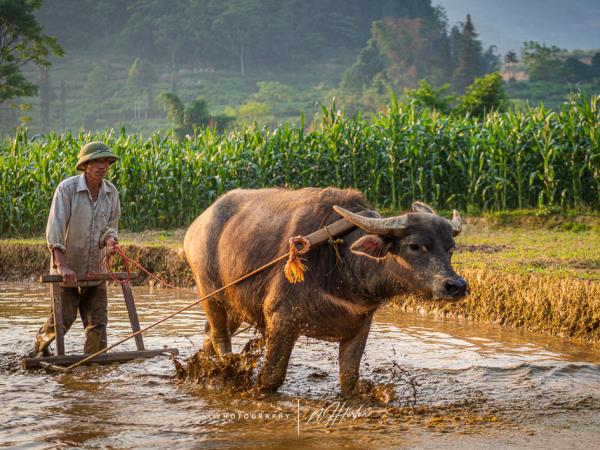 North Vietnam Photography tour