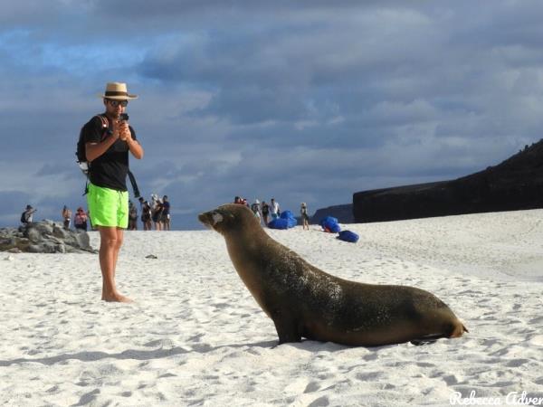 Galapagos luxury cruise and land based holiday