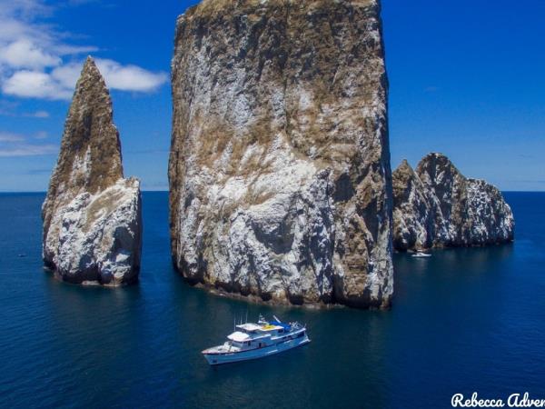 Galapagos luxury cruise and land based holiday