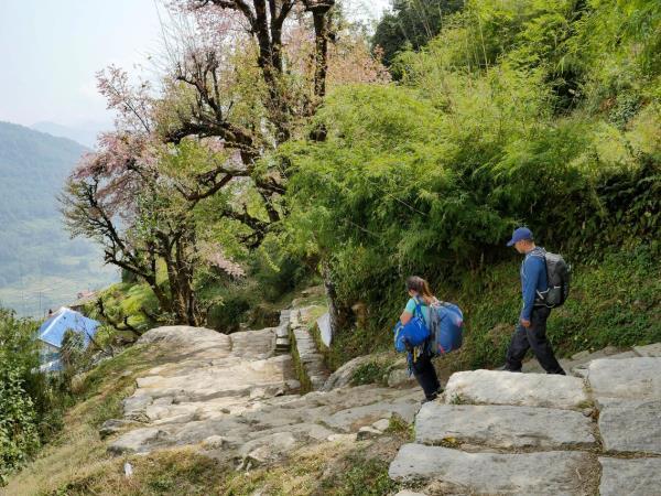 Langtang trekking holidays in Nepal