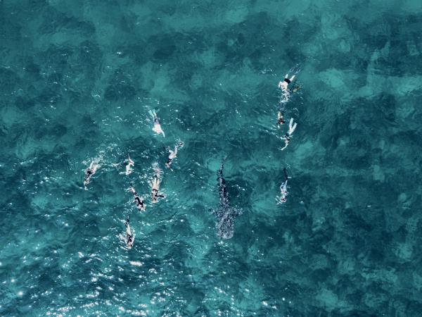 Maldives private gulet cruise holiday