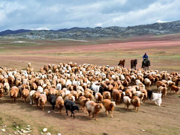 Horse riding tour around Hanas Lake, China