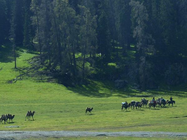 Horse riding tour around Hanas Lake, China