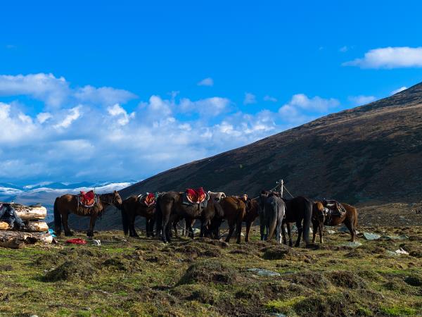 Horse riding tour around Hanas Lake, China