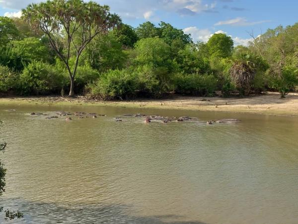 Nyerere NP & Mafia Island holiday