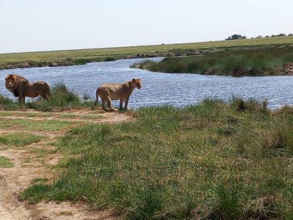 Nyerere NP & Mafia Island holiday