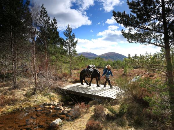 Scottish Highlands family holiday