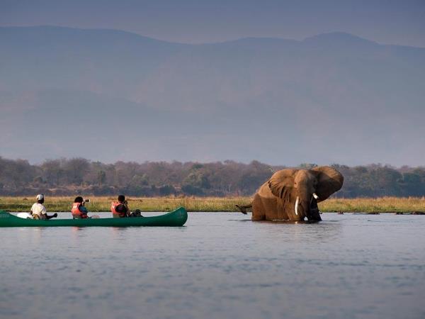 Zimbabwe wildlife holidays