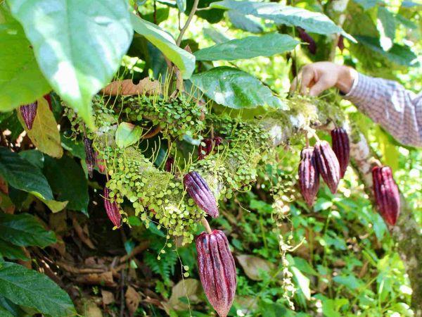 Highlights of Colombia over 50s holiday