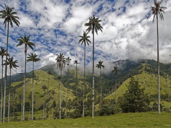 Highlights of Colombia over 50s holiday