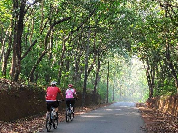 Cycling holidays in Kerala