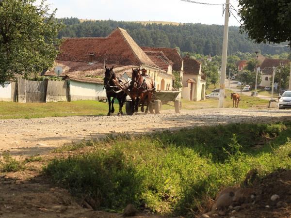 Romania tailor made tour 