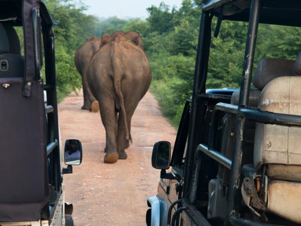 Sri Lanka family adventure holidays