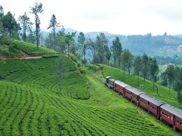 Sri Lanka family adventure holidays