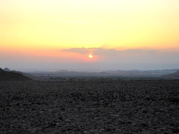 Jordan wildlife and nature tour