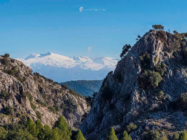 Granada self catering holiday in Spain
