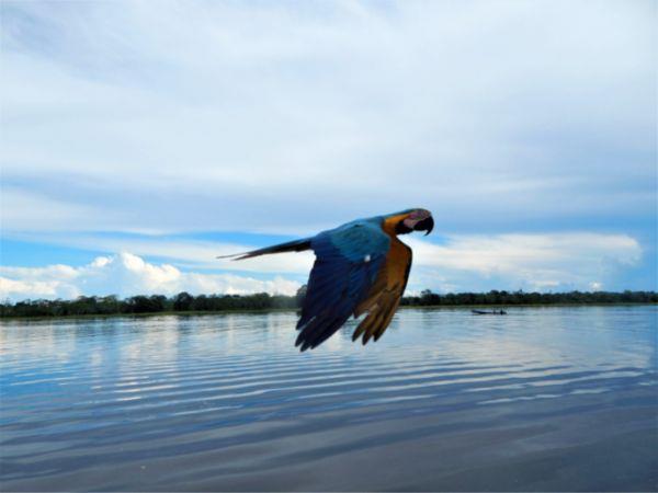 Colombia luxury tour for over 50s, 2 weeks