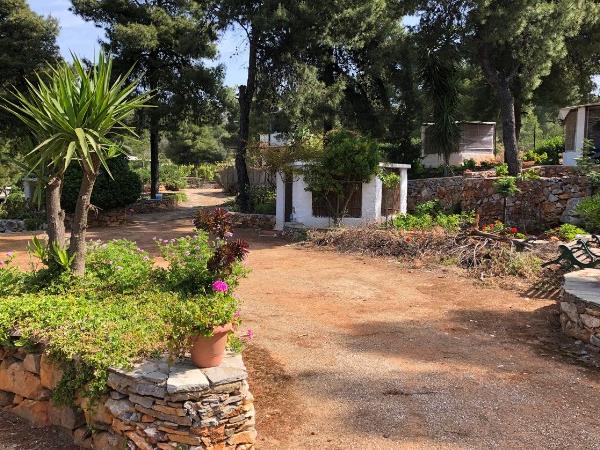 Holistic holiday in Greece