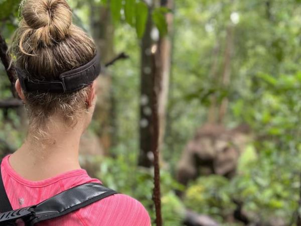 4 day Thai cultural stay and elephant watching