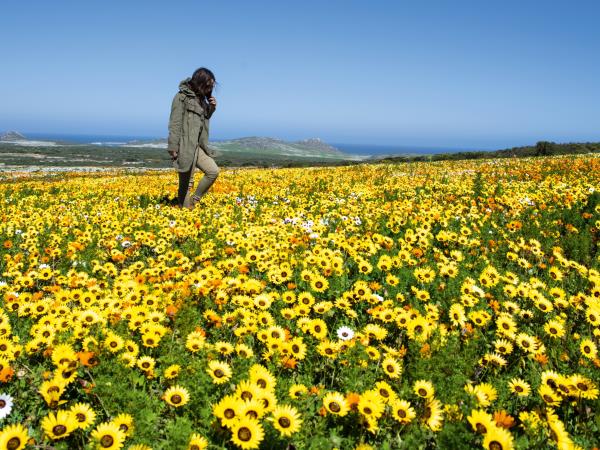 West Coast nature tour, South Africa