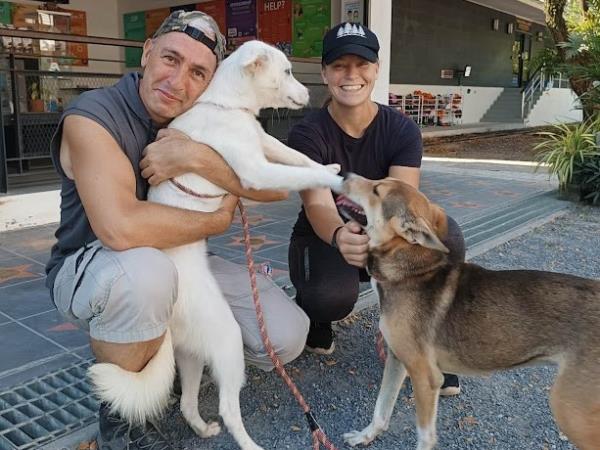 Dog rescue volunteering holiday, Thailand