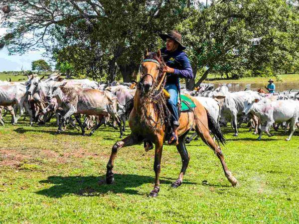 Casanare tour in Colombia