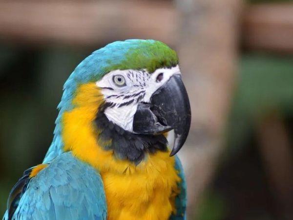 4 days in the Colombian Amazon holiday