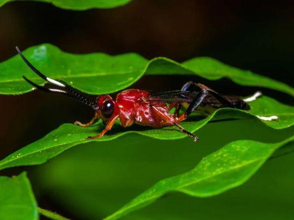 4 days in the Colombian Amazon holiday