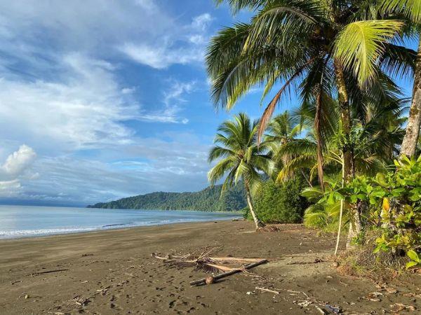 4 days on the Pacific Coast, Colombia