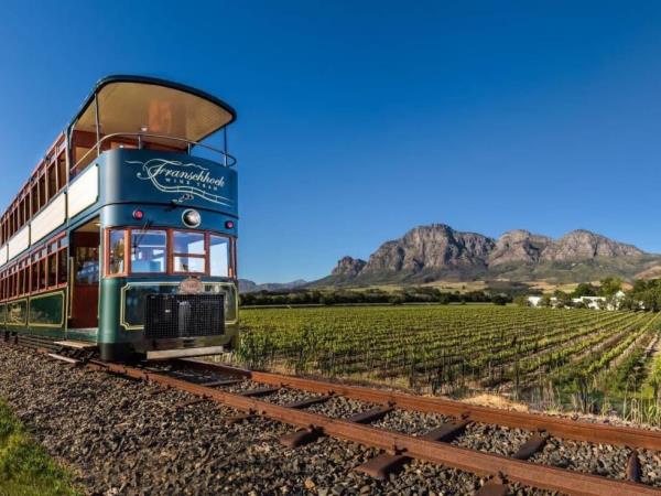 Wine and art holiday, South Africa