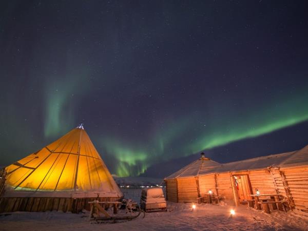 Gastronomy and Northern Lights holiday in Tromso, Norway