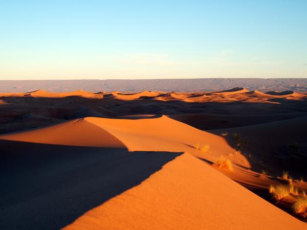 Yoga holiday in South Morocco, 10 days
