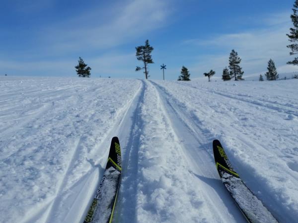 Downhill Skiing and Aurora hunting in Finnish Lapland